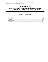 Volume 2, Chapter 2-3 Protozoa: Rhizopod Diversity