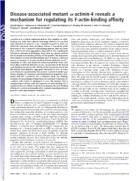Actinin-4 Reveals a Mechanism for Regulating Its F-Actin-Binding Affinity