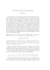 The Torsion Index of the Spin Groups