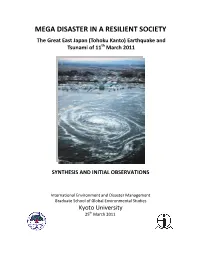 Synthesis Report