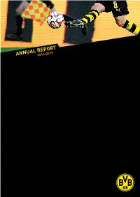 BVB Annual Report 14/15