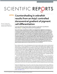 Countershading in Zebrafish Results from an Asip1 Controlled
