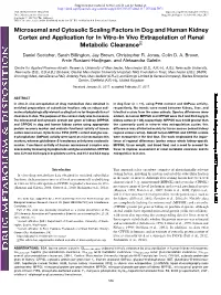 Microsomal and Cytosolic Scaling Factors in Dog and Human Kidney Cortex and Application for in Vitro-In Vivo Extrapolation of Renal Metabolic Clearance S