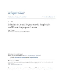 Bilirubin: an Animal Pigment in the Zingiberales and Diverse Angiosperm Orders Cary L