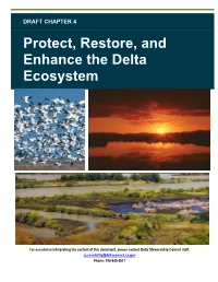 Chapter 4: Protect, Restore, and Enhance the Delta Ecosystem