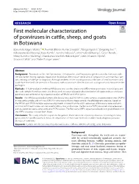 First Molecular Characterization of Poxviruses in Cattle, Sheep, And