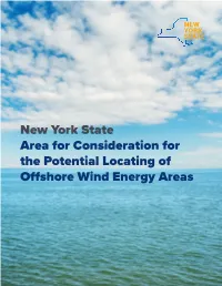 New York State Area for Consideration for the Potential Locating of Offshore Wind Energy Areas TABLE of CONTENTS