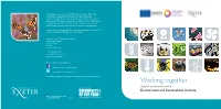 Working Together a Guide to Research at the Environment and Sustainability Institute