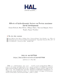 Effects of Hydrodynamic Factors on Pecten Maximus Larval Development Marine Holbach, Rene Robert, Philippe Miner, Christian Mingant, Pierre Boudry, Rejean Tremblay