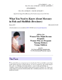 What You Need to Know About Mercury in Fish and Shellfish (Brochure)