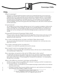 Cyanotype Faqs