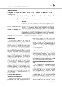 Hydrogenotrophic Activity of Strain RWL1 Similar to Methanothrix Soehngenii