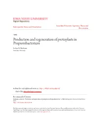 Production and Regeneration of Protoplasts in Propionibacterium Leann R