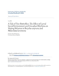 The Effect of Larval Social Environment and Circadian Rhythms on Mating Behavior in Bicyclus Anynana and Heliconius Hewitsoni" (2018)