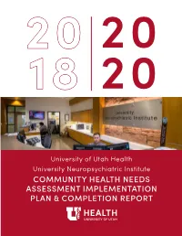 Community Health Needs Assessment Implementation Plan & Completion
