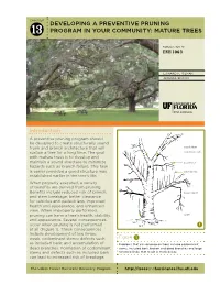 Developing a PREVENTIVE PRUNING PROGRAM in Your Community: Mature TREES
