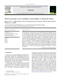 Novel Transcripts in the Maxillary Venom Glands of Advanced Snakes