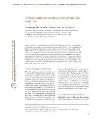Posttranslational Modifications of Tubulin and Cilia