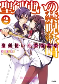 Seiken Tsukai No World Break LN 02