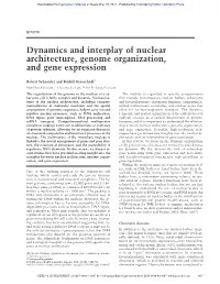 Dynamics and Interplay of Nuclear Architecture, Genome Organization, and Gene Expression