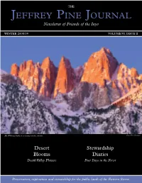 Jeffrey Pine Journal Volume VI, Issue II
