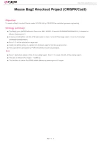 Mouse Bag2 Knockout Project (CRISPR/Cas9)