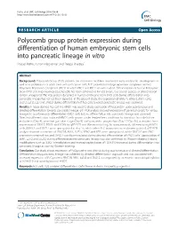 Polycomb Group Protein Expression During Differentiation of Human