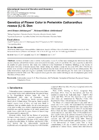 Genetics of Flower Color in Periwinkle Catharanthus Roseus (L) G. Don