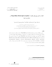 Article 520030 50309782E40a0