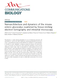 Nanoarchitecture and Dynamics of the Mouse Enteric Glycocalyx Examined by Freeze-Etching Electron Tomography and Intravital Microscopy