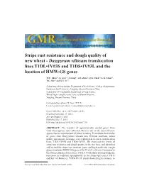 Stripe Rust Resistance and Dough Quality of New Wheat - Dasypyrum Villosum Translocation Lines T1DL•1V#3S and T1DS•1V#3L and the Location of HMW-GS Genes