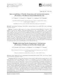 Spore Morphology of Taenitis, Syngramma and Austrogramme Species (Pteridoideae, Pteridaceae) from South-Eastern Asia