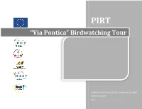 Birdwatching Tour