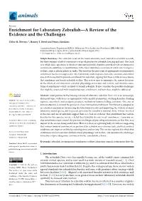 Enrichment for Laboratory Zebrafish—A Review of the Evidence and the Challenges