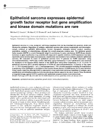 Epithelioid Sarcoma Expresses Epidermal Growth Factor Receptor but Gene Amplification and Kinase Domain Mutations Are Rare