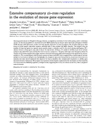 Extensive Compensatory Cis-Trans Regulation in the Evolution of Mouse Gene Expression