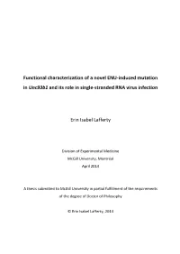 Functional Characterization of a Novel ENU-Induced Mutation In