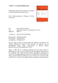 Phylogenetic Analysis of the Allometry of Metabolic Rate and Mitochondrial Basal Proton Leak