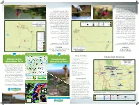 Hiking Trails Overview