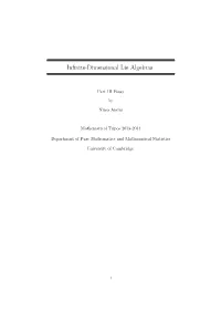Infinite-Dimensional Lie Algebras