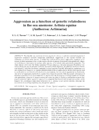 Aggression As a Function of Genetic Relatedness in the Sea Anemone Actinia Equina (Anthozoa: Actiniaria)