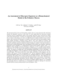 An Assessment of Macropus Giganteus As a Biomechanical Model of the Pediatric Thorax