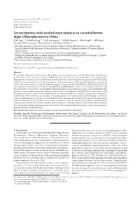 Transcriptome-Wide Evolutionary Analysis on Essential Brown Algae