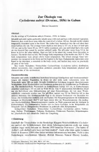 Zur Ökologie Von Cycloderma Aubryi (Dumeril, 1856) in Gabun