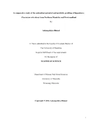 A Comparative Study of the Antioxidant Potential and Metabolic Profiling of Lingonberry