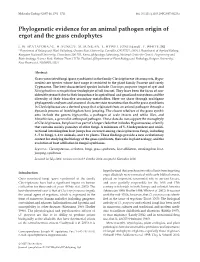Phylogenetic Evidence for an Animal Pathogen Origin of Ergot and The