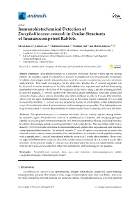 Immunohistochemical Detection of Encephalitozoon Cuniculi in Ocular Structures of Immunocompetent Rabbits