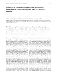 Phylogenetic Relationships Among Some Cercosporoid Anamorphs of Mycosphaerella Based on Rdna Sequence Analysis
