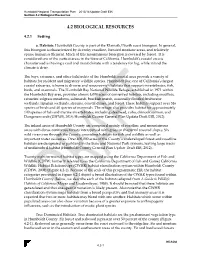 Executive Summary