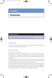 Chapter 1 Anatomy